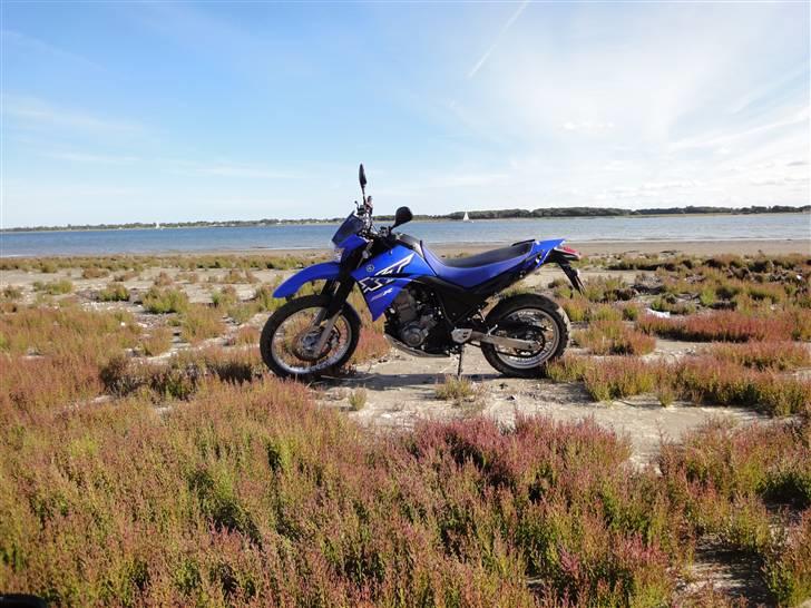 Yamaha XT 660R billede 6