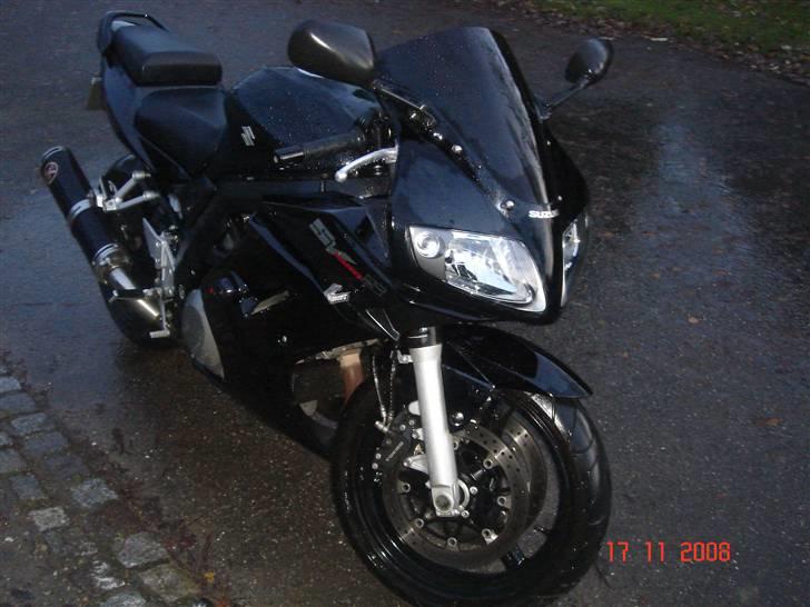 Suzuki SV 1000S billede 1