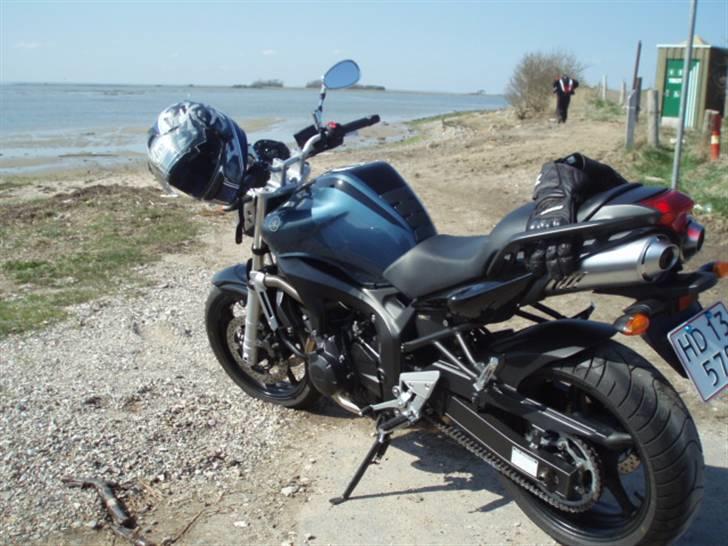 Yamaha fz6 n billede 4