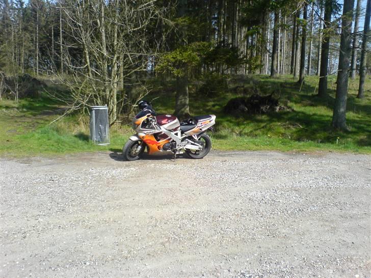 Honda CBR 900 RR Fireblade billede 3