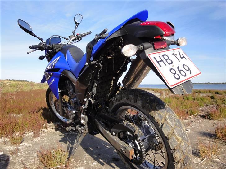 Yamaha XT 660R billede 8