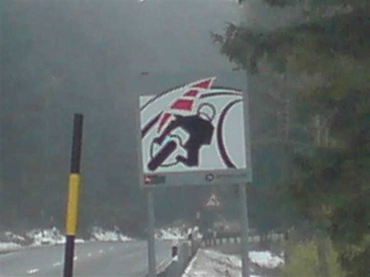 Suzuki GSF Bandit S.  billede 14