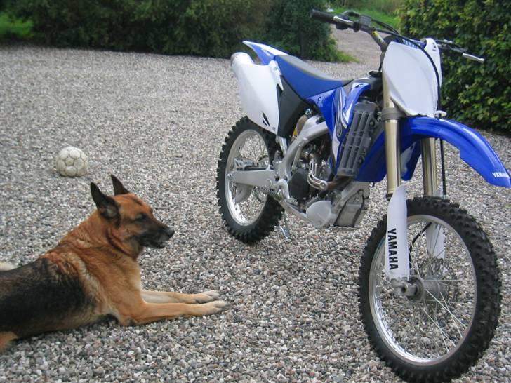 Yamaha yzf 250 - Ny . billede 14