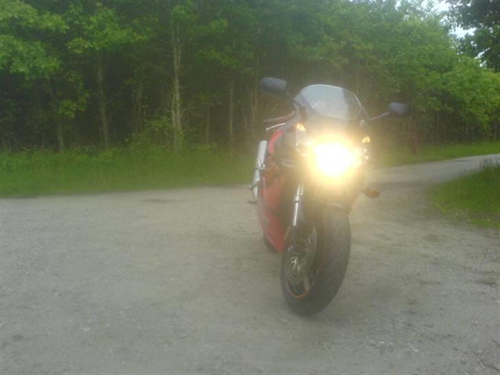 Honda CBR 954 RR fireblade billede 2