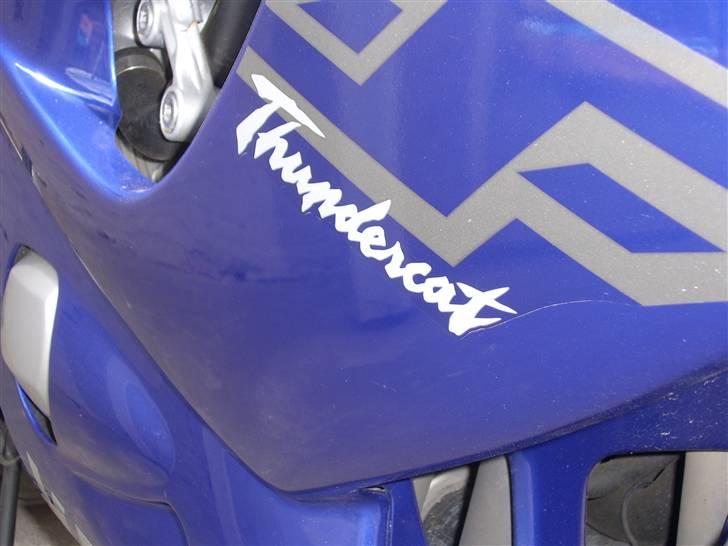 Yamaha yzf 600 R thundercat billede 5
