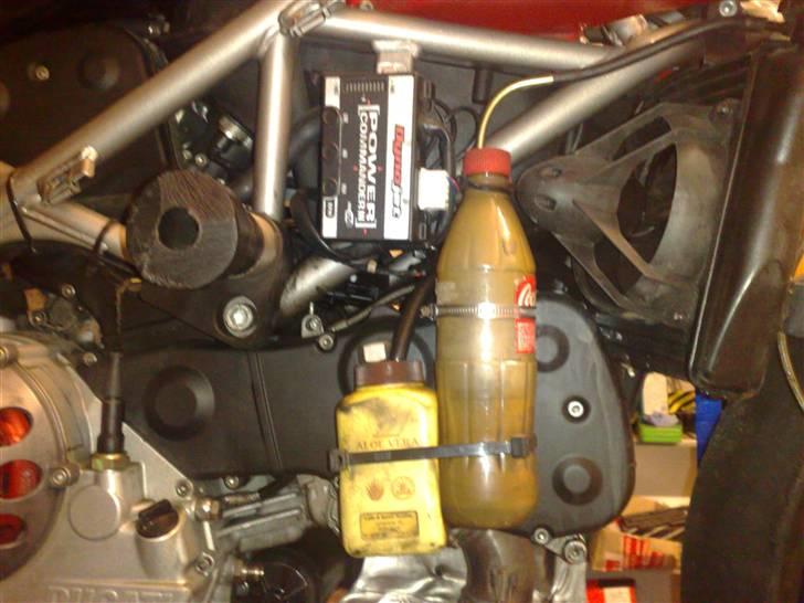 Ducati 999 SR billede 6