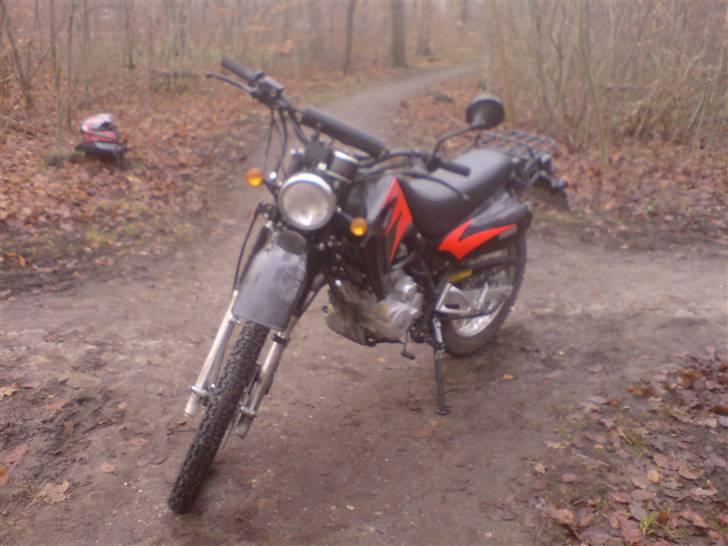 Shineray XY200GYE billede 3