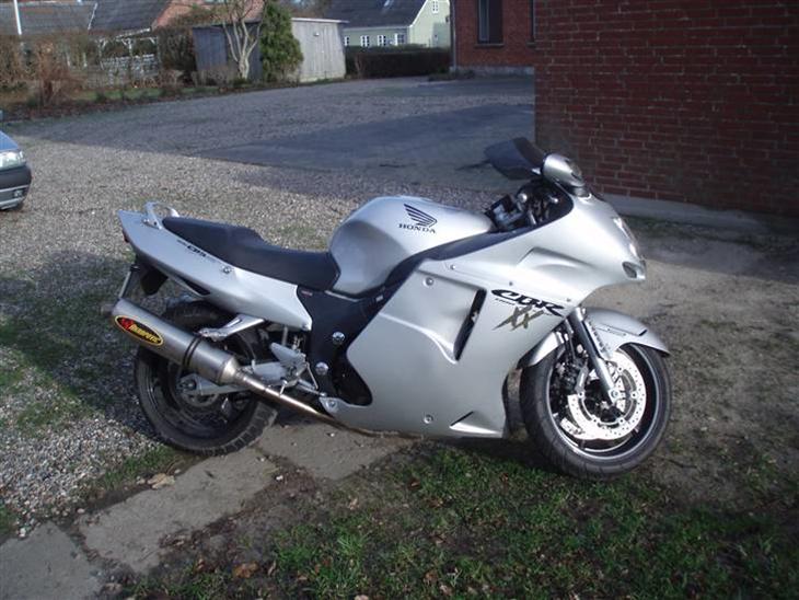 honda blackbird for sale gumtree
