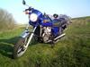Honda                    CX 500 [Tidl. motorcykel]