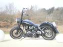 Harley Davidson FLH