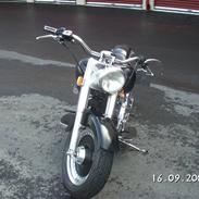 Harley Davidson fxstc