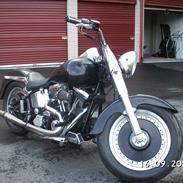 Harley Davidson fxstc