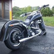 Harley Davidson fxstc