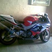 Suzuki hayabusa