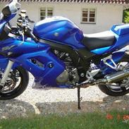 Suzuki SV 1000s (SOLGT)