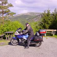 Yamaha FJ 1200