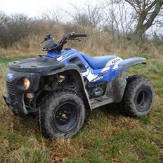 Honda aeon 180 overland