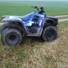 Honda aeon 180 overland