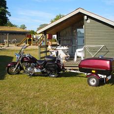 Yamaha XVS 1100 Drag Star