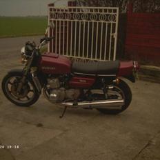 Suzuki GT 750 vandbøffel