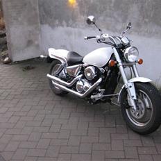 Suzuki VZ800 Marauder