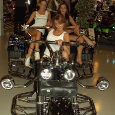 Universal Boom-Family