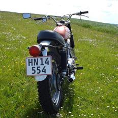 Ducati Scrambler - Solgt