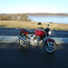 Honda CBF 250 2004 "Solgt"
