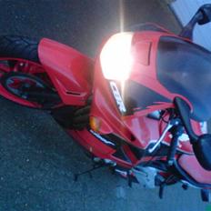 Honda CBR600 F2 PC25