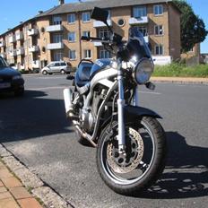 Suzuki GS500e