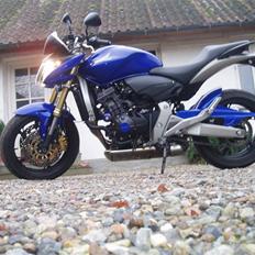 Honda cb600fa hornet