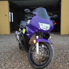Honda CBR 600 F3 (F2.5)