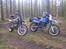 Suzuki DR650 R - Første tur i skoven 23/12-08
