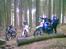 Suzuki DR650 R - Kaffepause i skoven