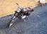 Royal Enfield Bullet ( Solgt )
