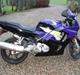 Honda CBR 600 F3 (F2.5)