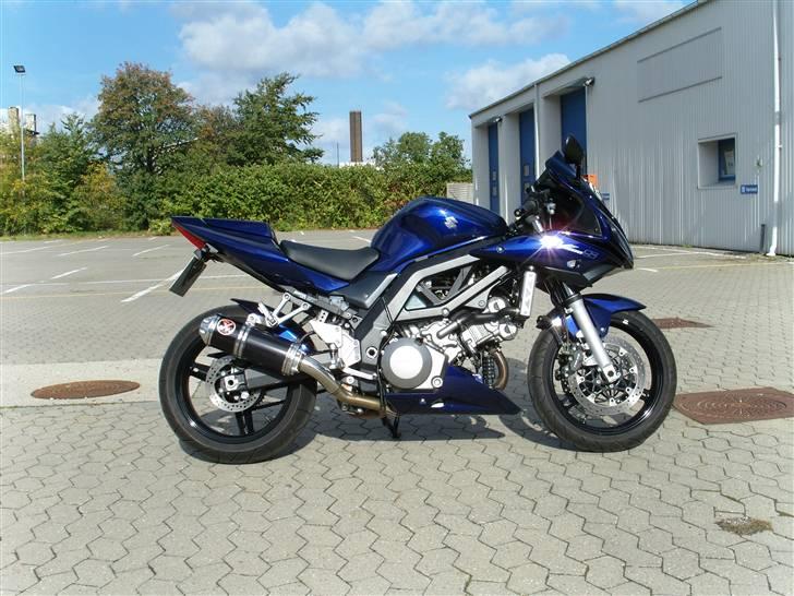 Suzuki SV 1000 S billede 1