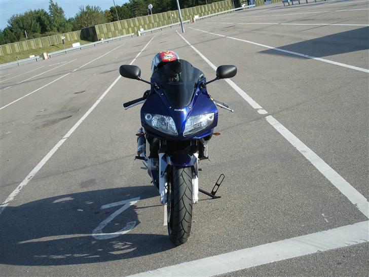 Suzuki SV 1000 S billede 7