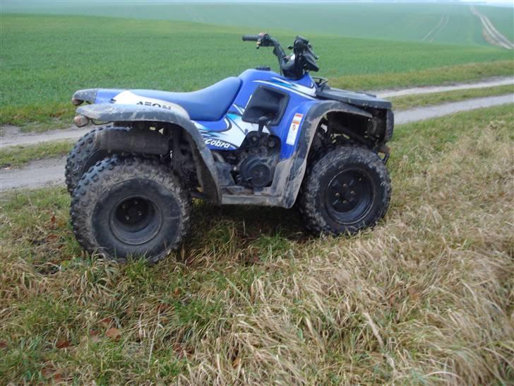 Honda aeon 180 overland billede 3