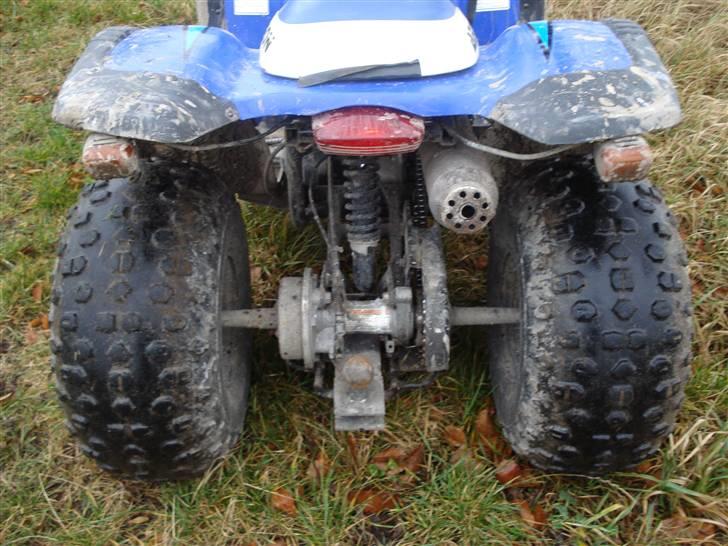 Honda aeon 180 overland billede 4