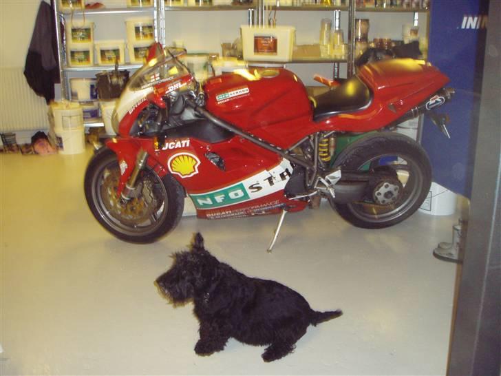 Honda CBR600RR SOLGT billede 2