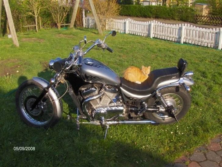 Suzuki vs 700 billede 4