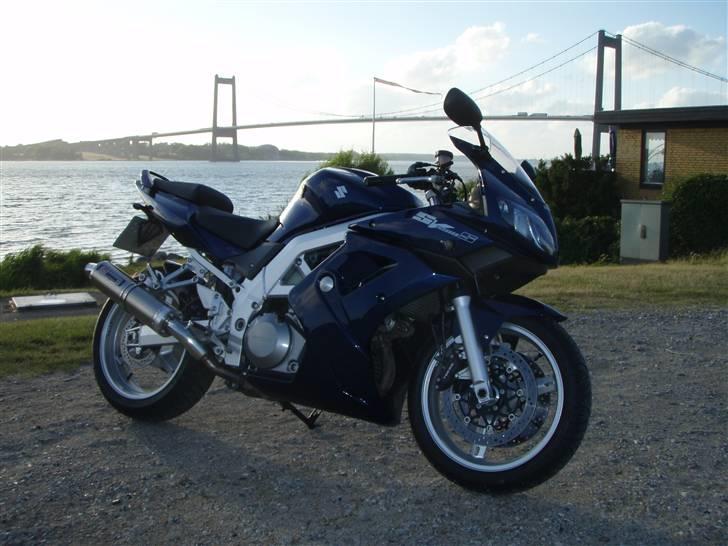 Suzuki SV1000S billede 1