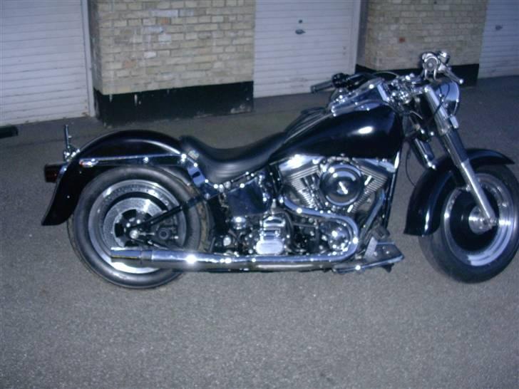 Harley Davidson fxstc billede 1