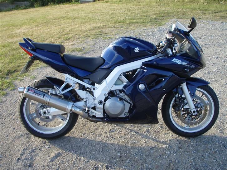 Suzuki SV1000S billede 2