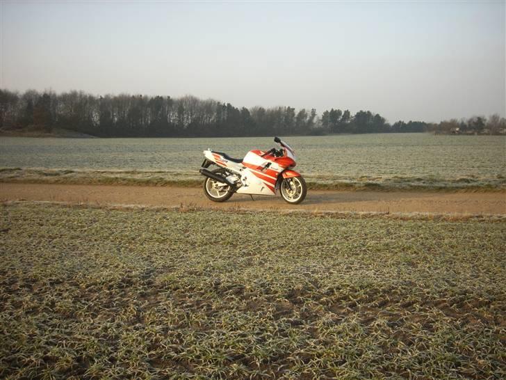 Honda cbr 600 F Super Sport billede 4