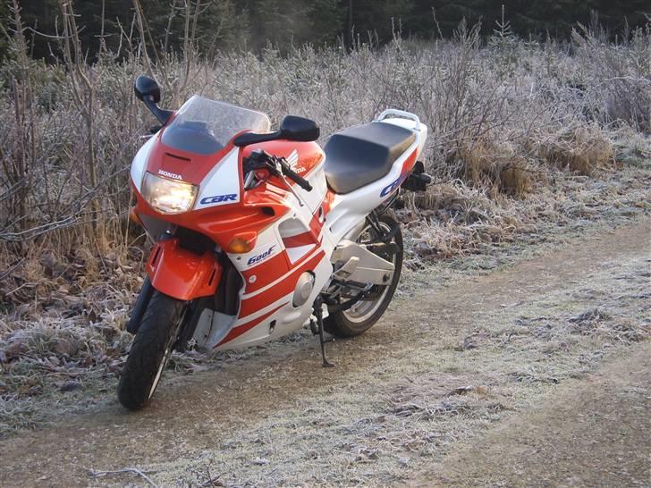 Honda cbr 600 F Super Sport billede 8