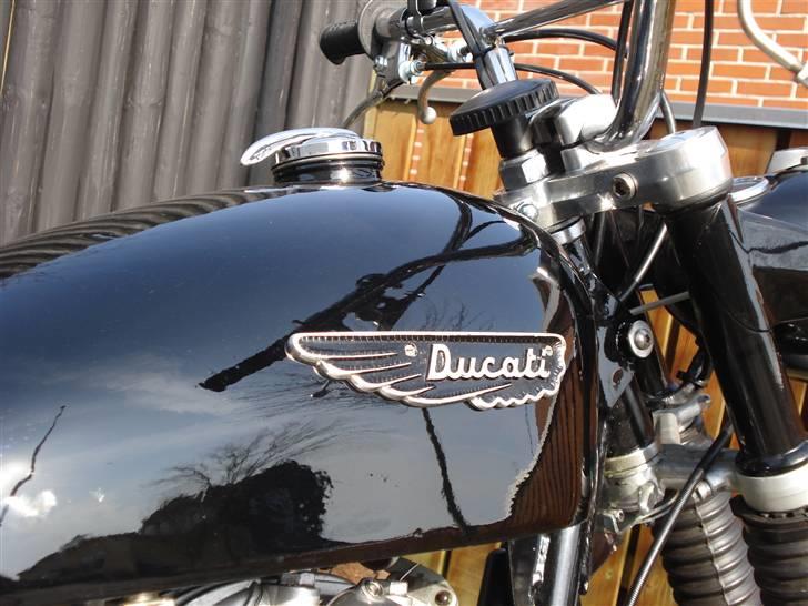 Ducati Scrambler - Solgt billede 1