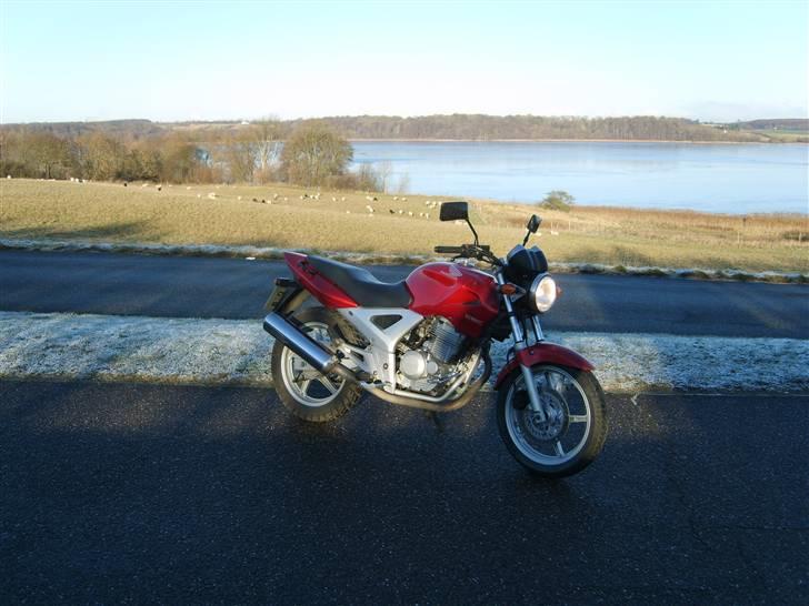 Honda CBF 250 2004 "Solgt" billede 1