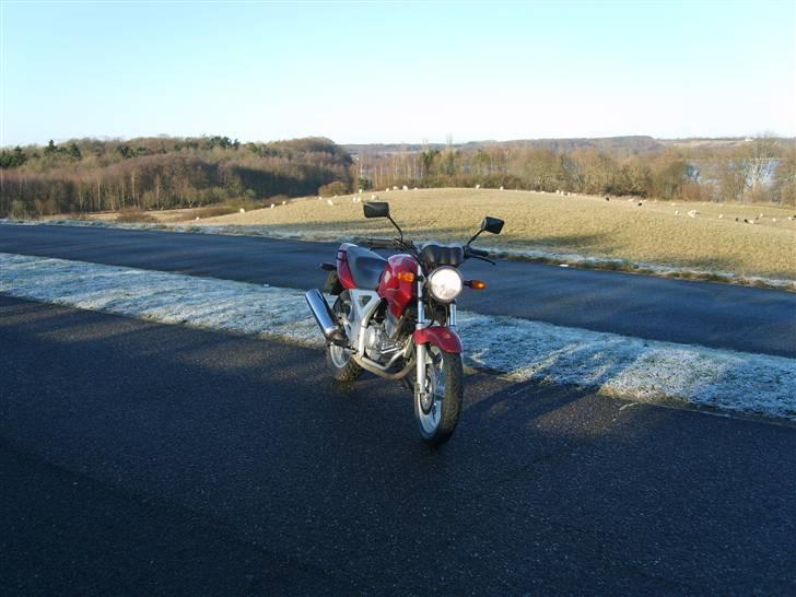 Honda CBF 250 2004 "Solgt" billede 2